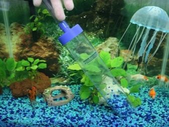 Как украсить аквариум в домашних условиях
