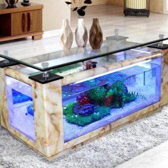 Как украсить аквариум в домашних условиях
