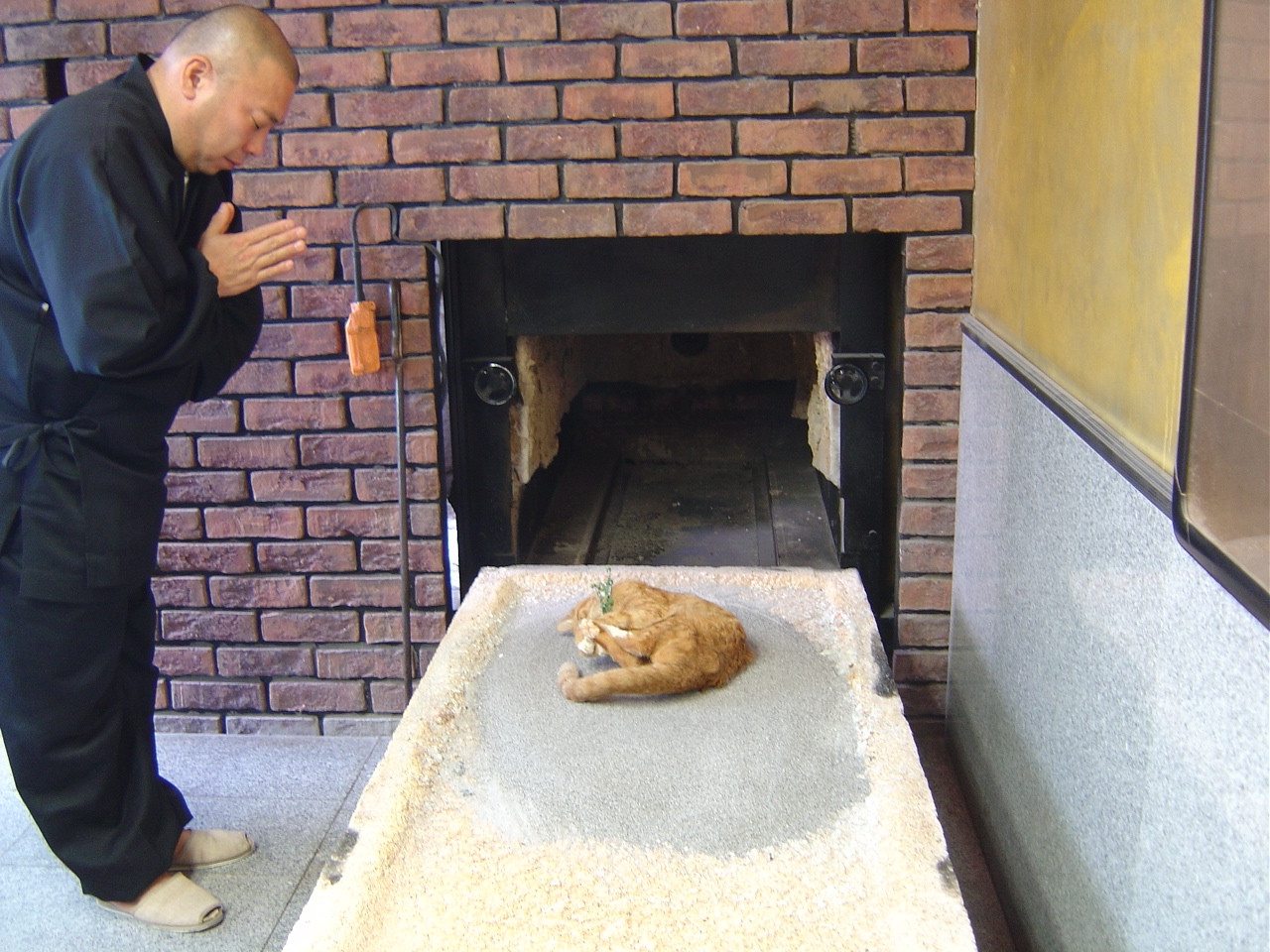 Как осуществляется кремация домашних животных?