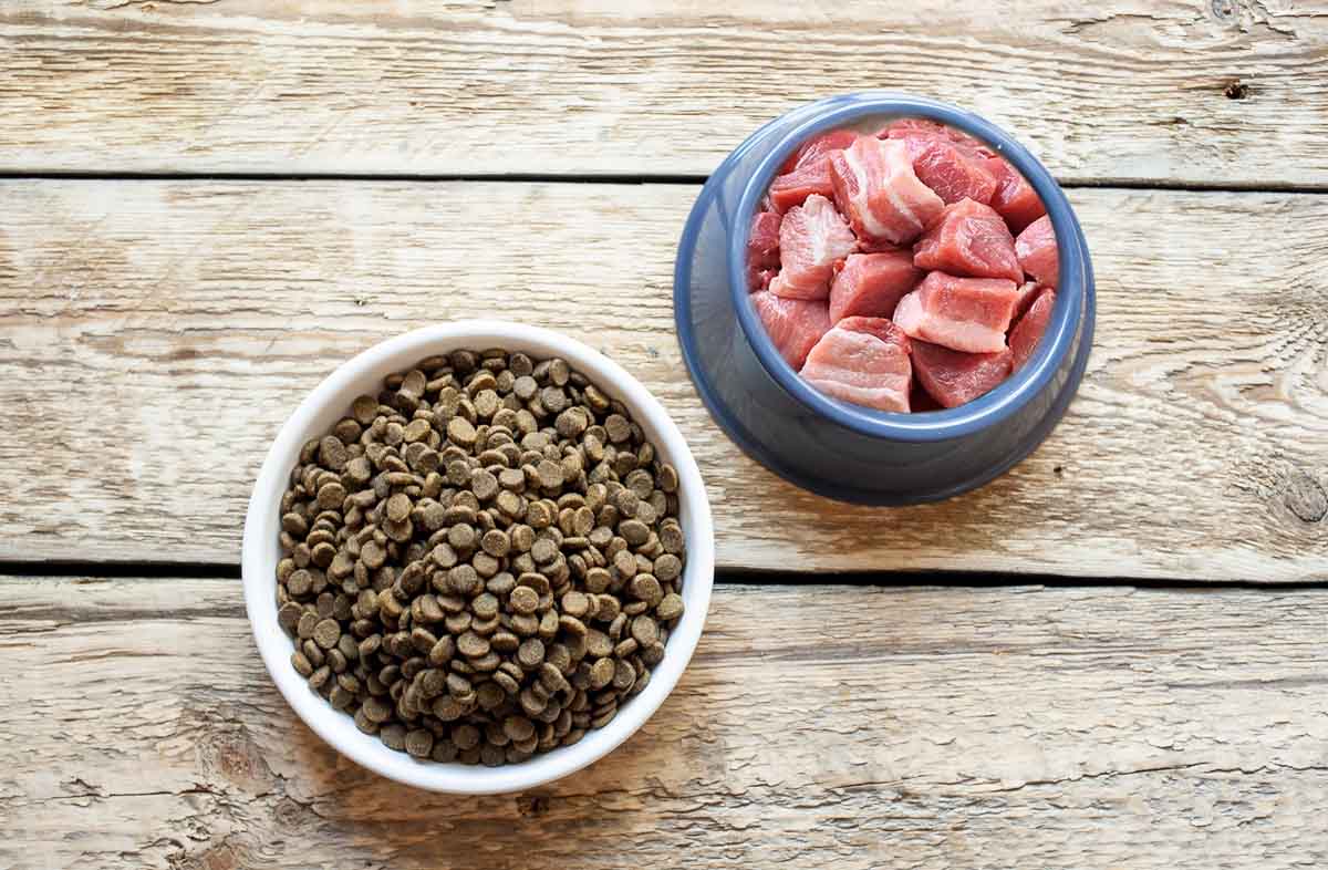 Каким должен быть натуральный и качественный корм для собак?