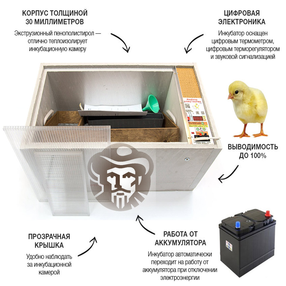 Инкубаторы для яиц: описание, виды и характеристики