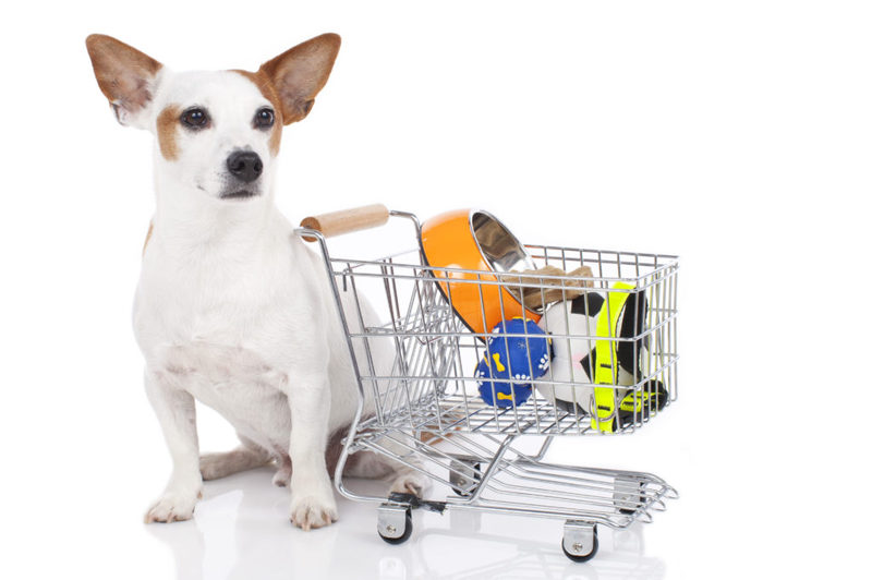 Где закупить товары для животных оптом?