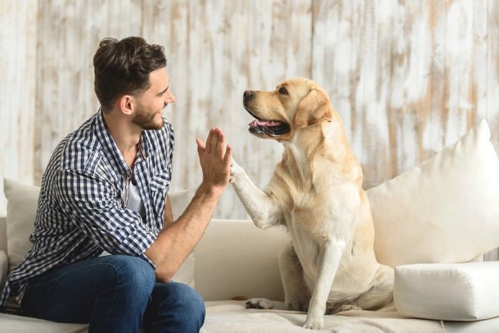 Полезные советы, которые помогут справиться с боязнью собак