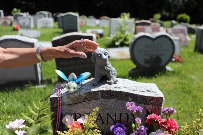 Похоронить по-людски. в красногвардейском районе действует кладбище домашних животных