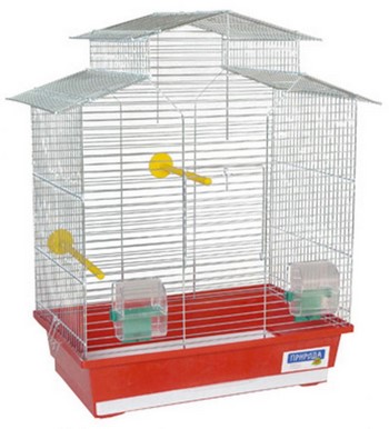 Клетки для волнистых попугаев: выбор, обустройство, установка и уход