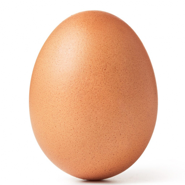 Яйцо индейки против куриного яйца - Куриное яйцо