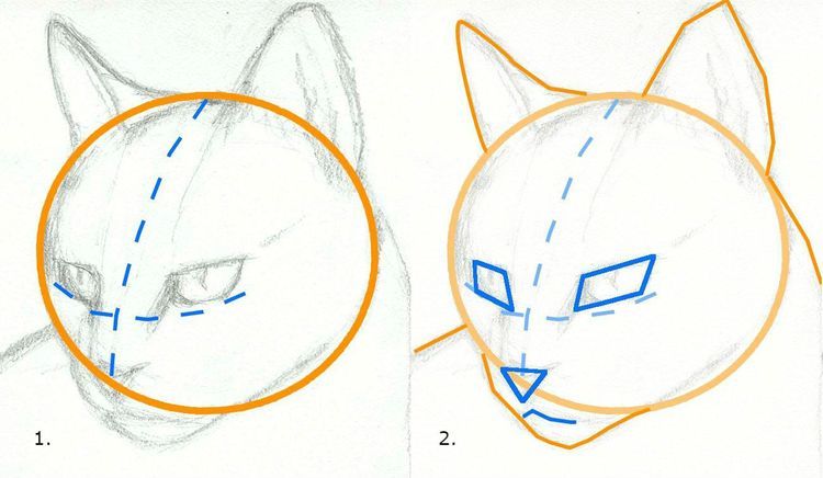 Как нарисовать мордочку кошки