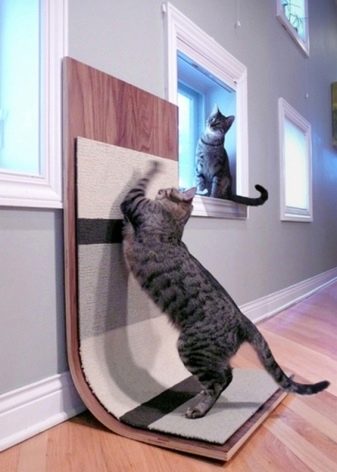 Как отучить кота драть обои и мебель