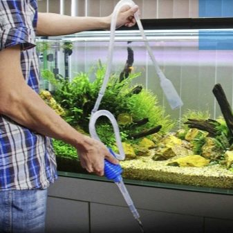 Советы по уходу за домашним аквариумом